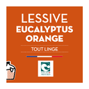 [JB0538BIB10] Lessive liquide - Tout linge - Eucalyptus &amp; Orange - Nature &amp; Progrès SAVONS ARTHUR - BIB10L